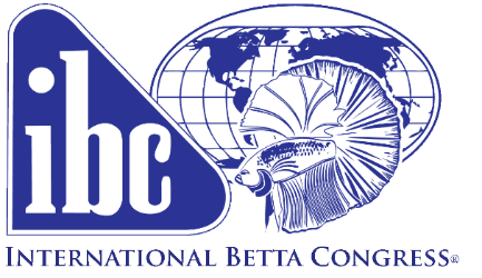 International Betta Congress