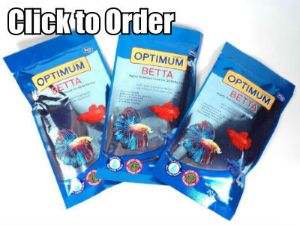 Optimum Betta Fish Food