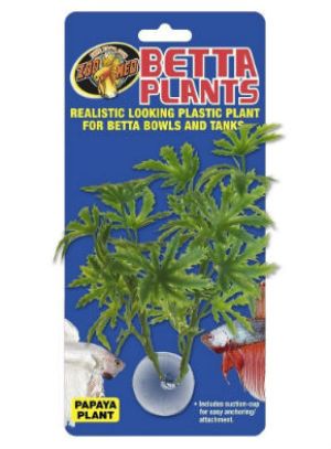 Papaya Plastic Plant Item Number: BP-21